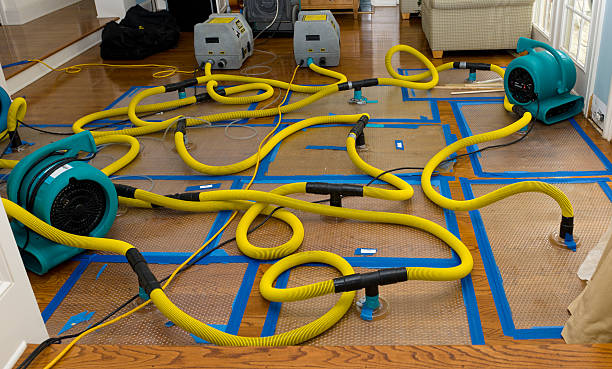 Professional Water Extraction technician working in Point Reyes Station, CA